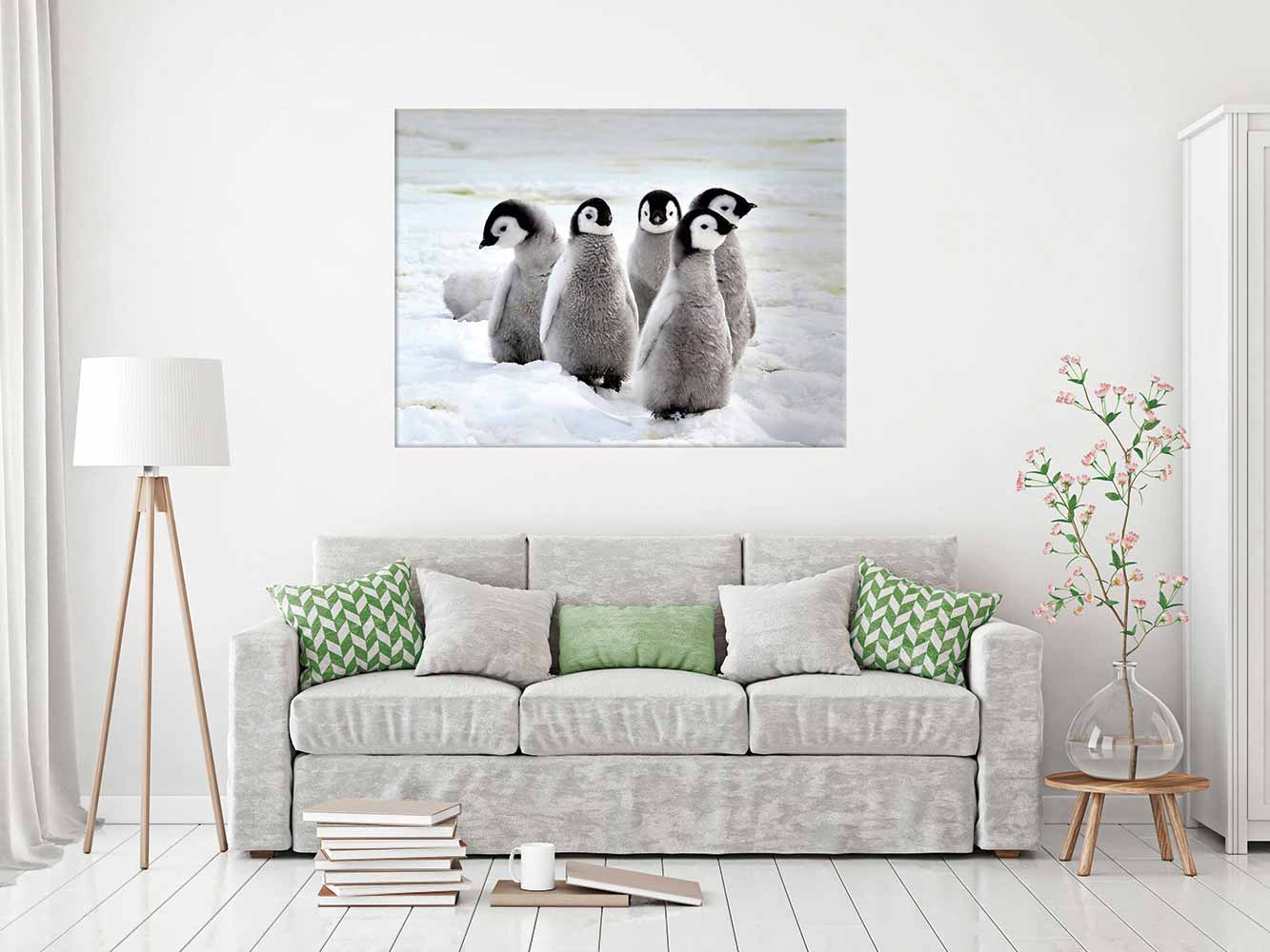 Fotocuadro Animales Pingüinos Polares | Carteles XXL - Impresión carteleria publicitaria