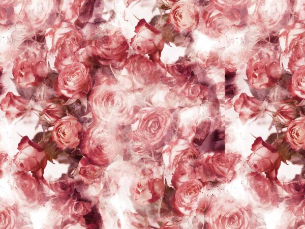 Fotomural Vinilo Floral Rosas Rojas | Carteles XXL - Impresión carteleria publicitaria