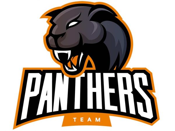 Vinilo Decorativo Puerta Panthers Team | Carteles XXL - Impresión carteleria publicitaria