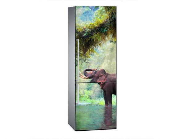 Vinilo Frigorífico Elefante en Bosque Tailandia | Carteles XXL - Impresión carteleria publicitaria