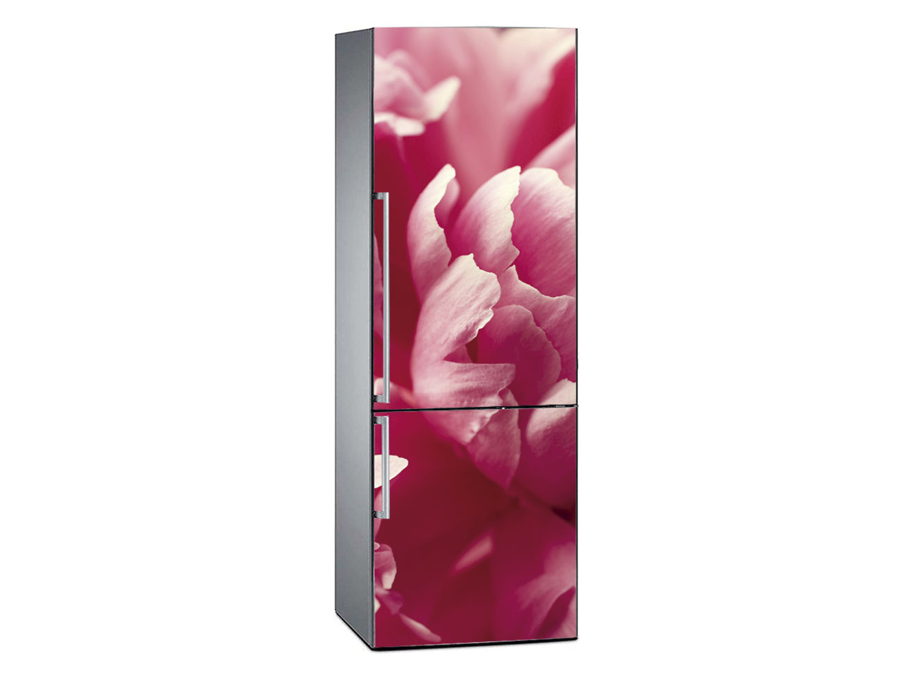 Vinilo Frigorífico Floral Rosa | Carteles XXL - Impresión carteleria publicitaria