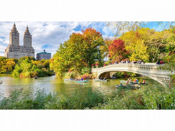 Fotomural Central Park de Día | Carteles XXL - Impresión carteleria publicitaria